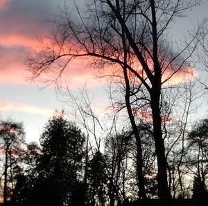 Meet your Posher, Gail